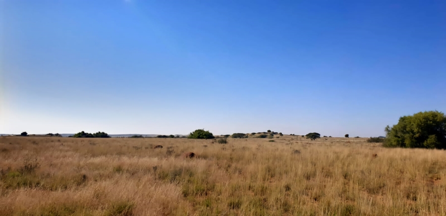 4 Bedroom Property for Sale in Petrusburg Rural Free State